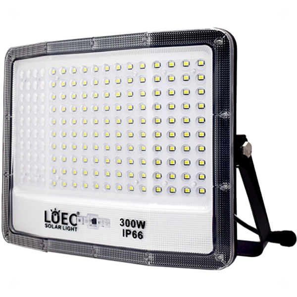 loec-300.1