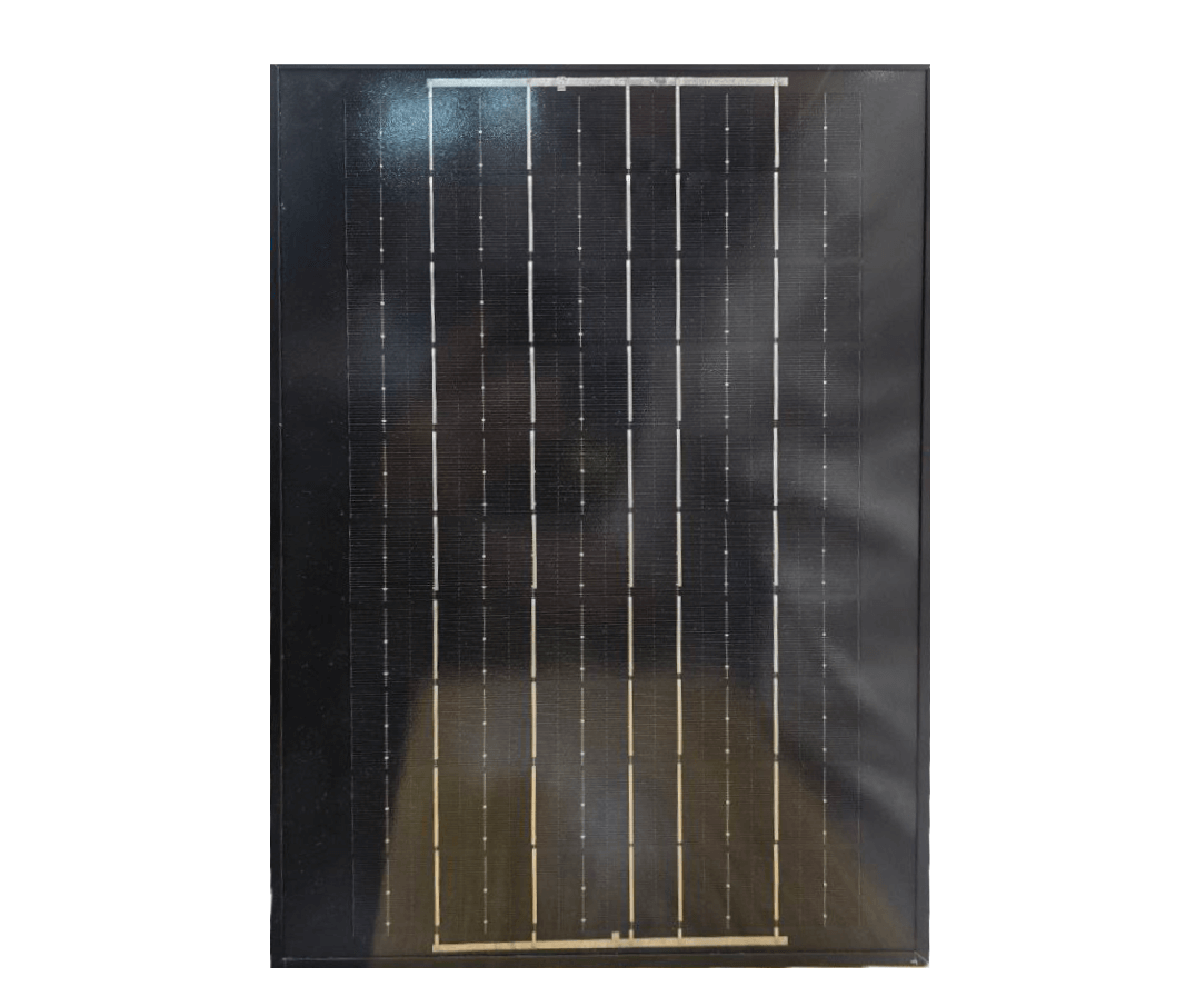 prozhector-louec-100w-2